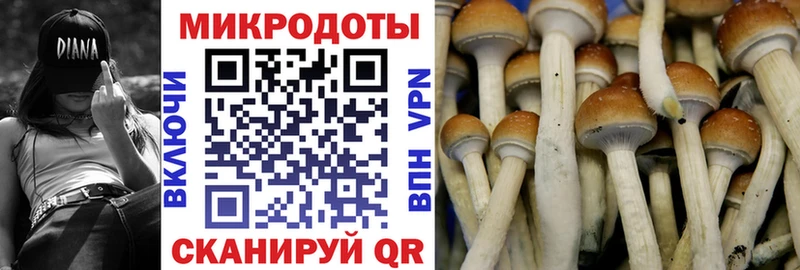 купить   Рубцовск  Галлюциногенные грибы Cubensis 